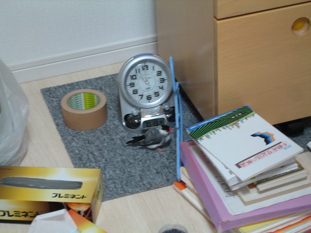 d0006812_1212652.jpg