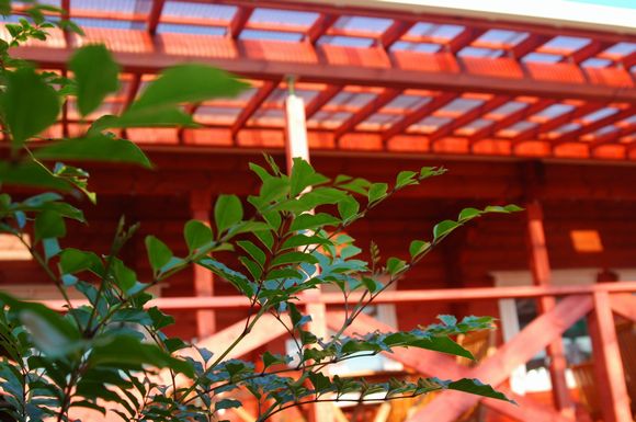 d0179113_2116201.jpg