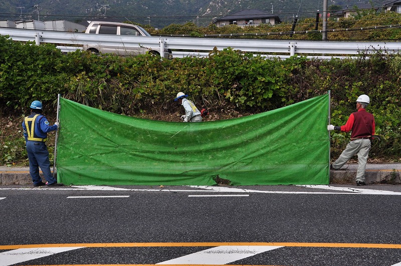 f0213613_19592181.jpg