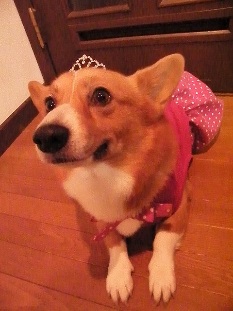 c0127617_22271570.jpg