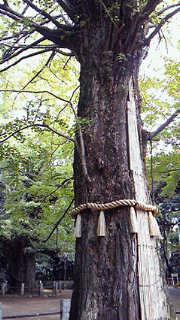 f0227218_1931388.jpg