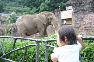 c0157226_024720.jpg