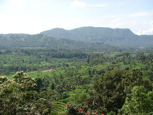 a0120328_7412851.jpg
