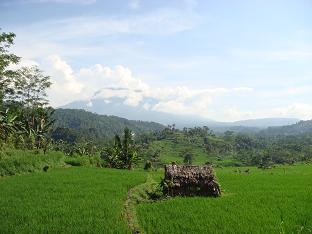 a0120328_7432936.jpg