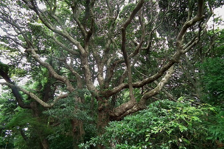 f0118332_19362268.jpg