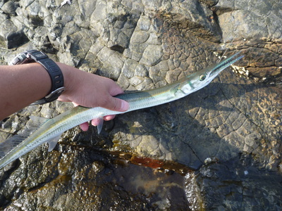 c0149247_18465999.jpg