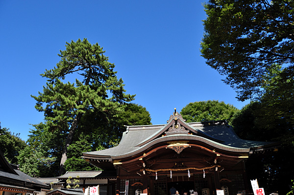 e0061266_1863648.jpg