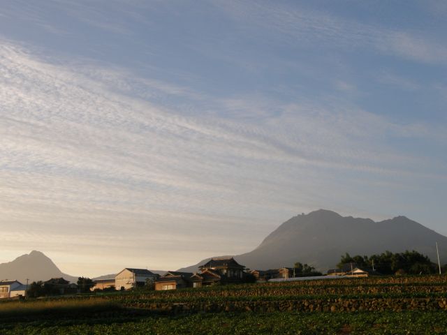 c0042869_7141924.jpg