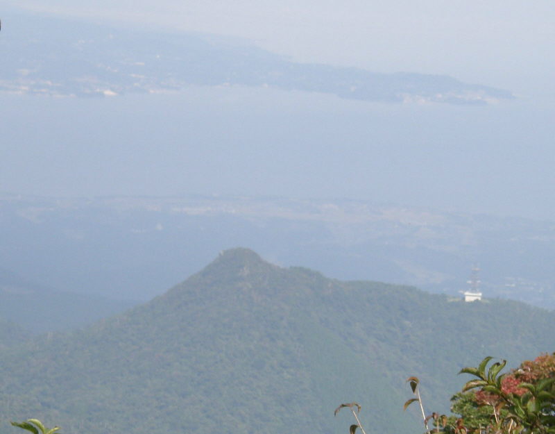 c0042869_7235459.jpg