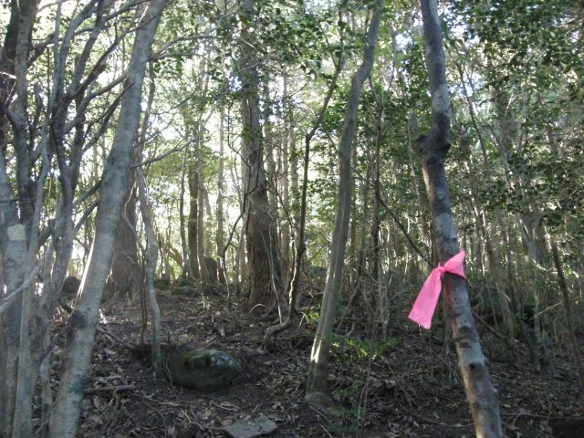 c0042869_7254870.jpg