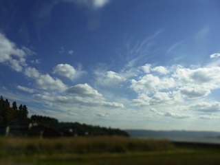 c0192970_21445551.jpg