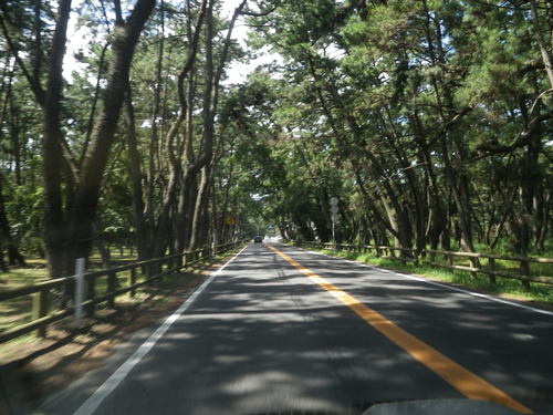 e0211273_2027468.jpg