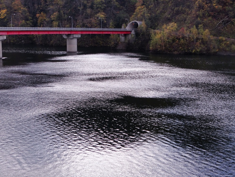 c0183777_19404241.jpg