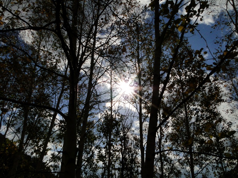 c0183777_19423070.jpg