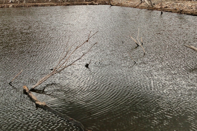 c0183777_1946338.jpg