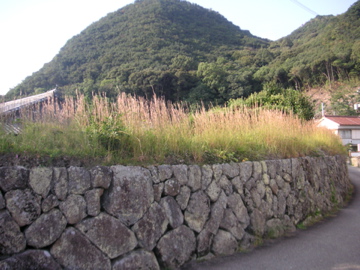 f0054677_6255748.jpg