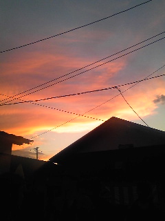 c0100378_1638981.jpg