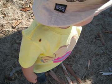 f0068883_1521547.jpg