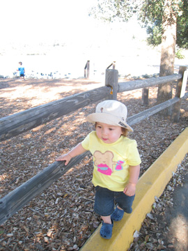f0068883_1532937.jpg