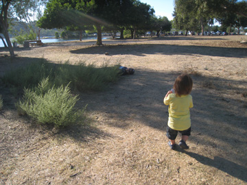 f0068883_1551338.jpg