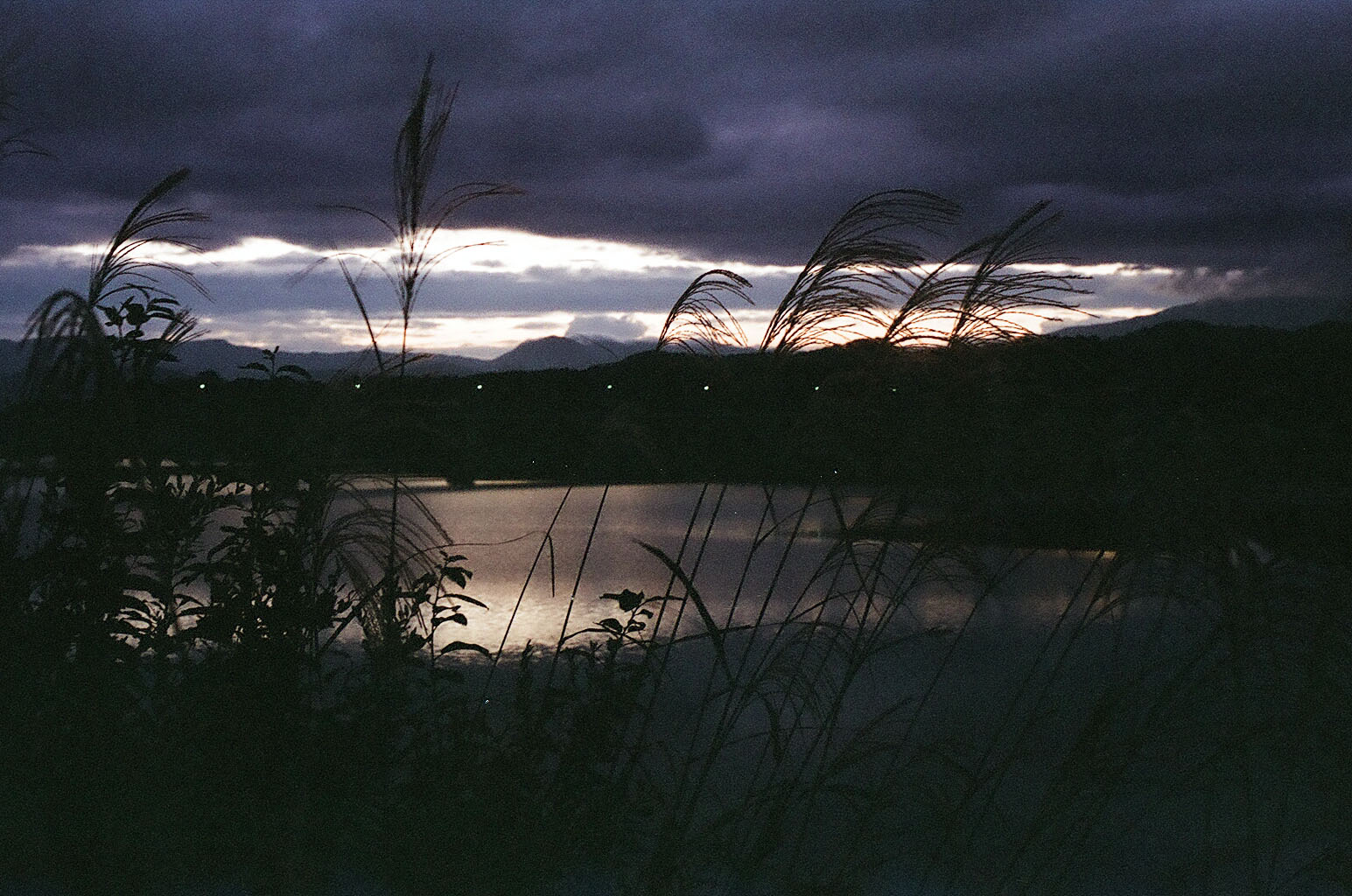b0160184_0104791.jpg