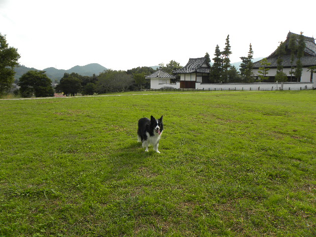 c0120585_2054348.jpg