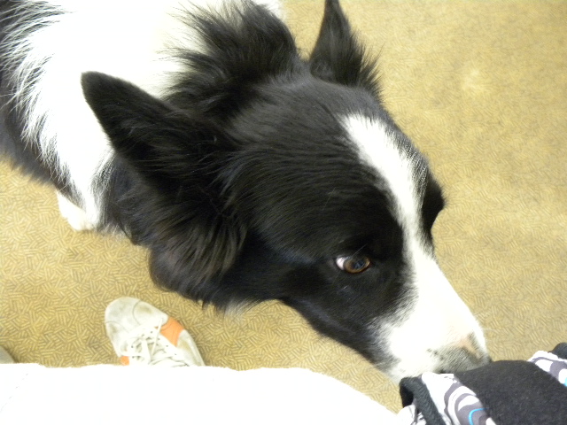 c0120585_2110942.jpg