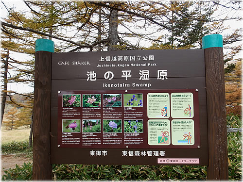 e0138787_14402620.jpg