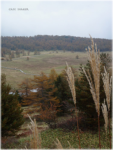 e0138787_14495176.jpg