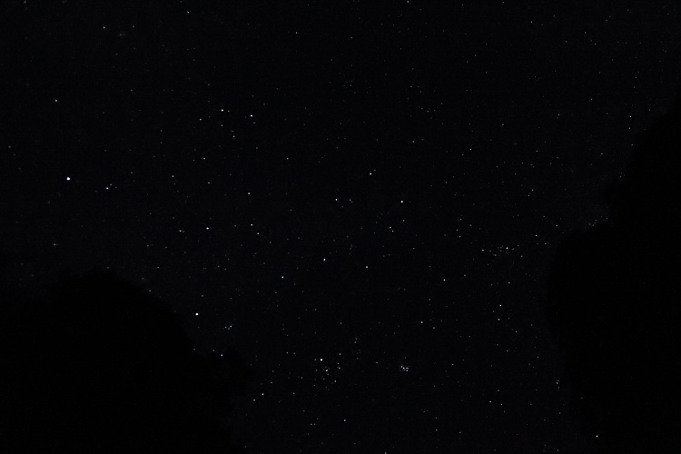 e0051888_20195133.jpg