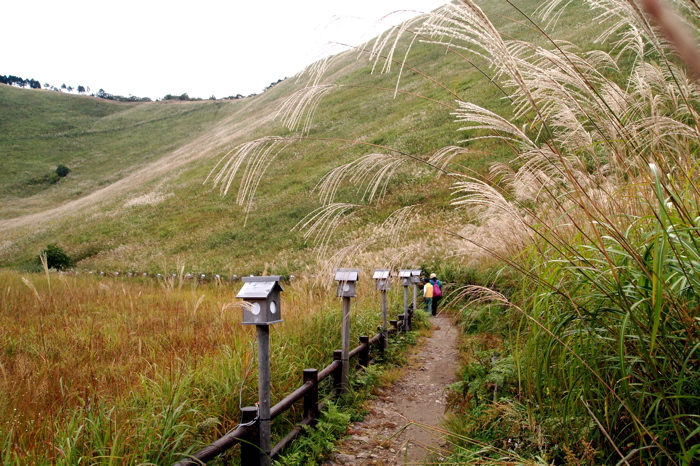 b0143293_22152214.jpg