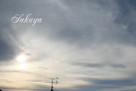 e0122194_17485196.jpg