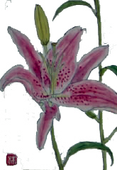 f0008597_22311816.jpg