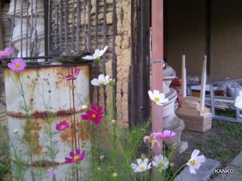 c0145299_14351696.jpg
