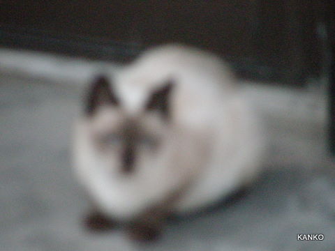 c0145299_1436418.jpg