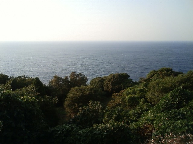 e0180405_224841.jpg