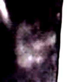e0103408_1553435.gif