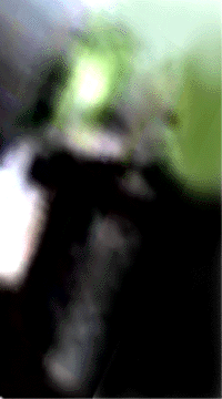 e0103408_163352.gif