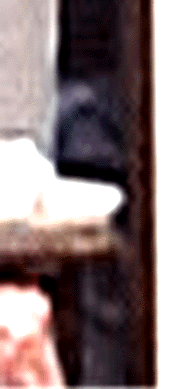 e0103408_1644239.gif