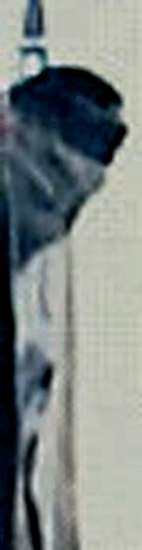 e0103408_164861.gif