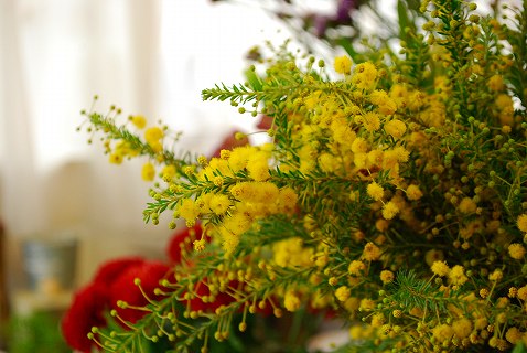 e0128909_22311691.jpg