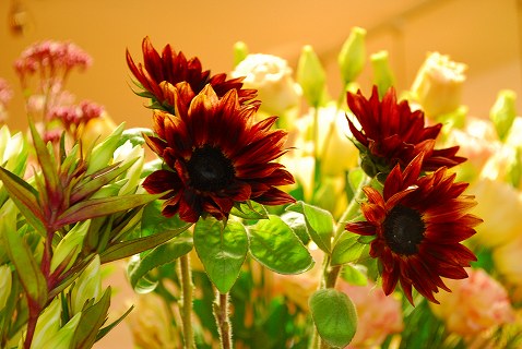 e0128909_22365117.jpg