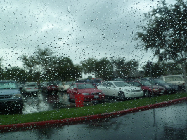 a0144811_1103351.jpg
