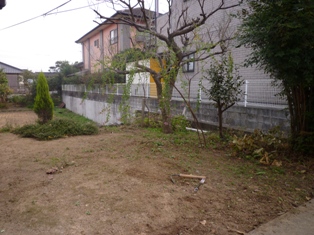 a0156611_11574412.jpg