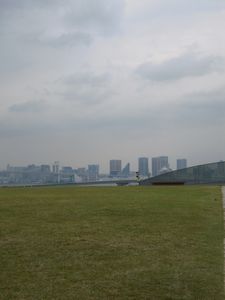 d0078311_824865.jpg