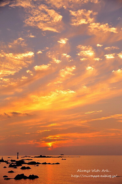 e0005411_5553633.jpg