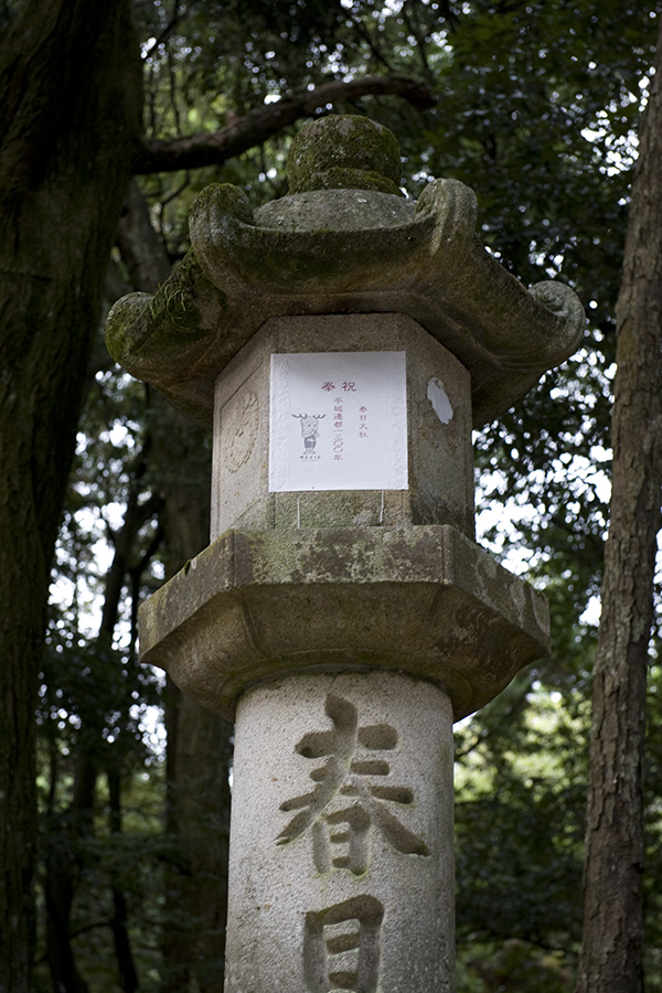 a0140914_23124575.jpg