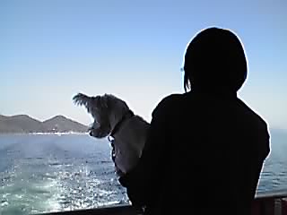e0181928_2122438.jpg