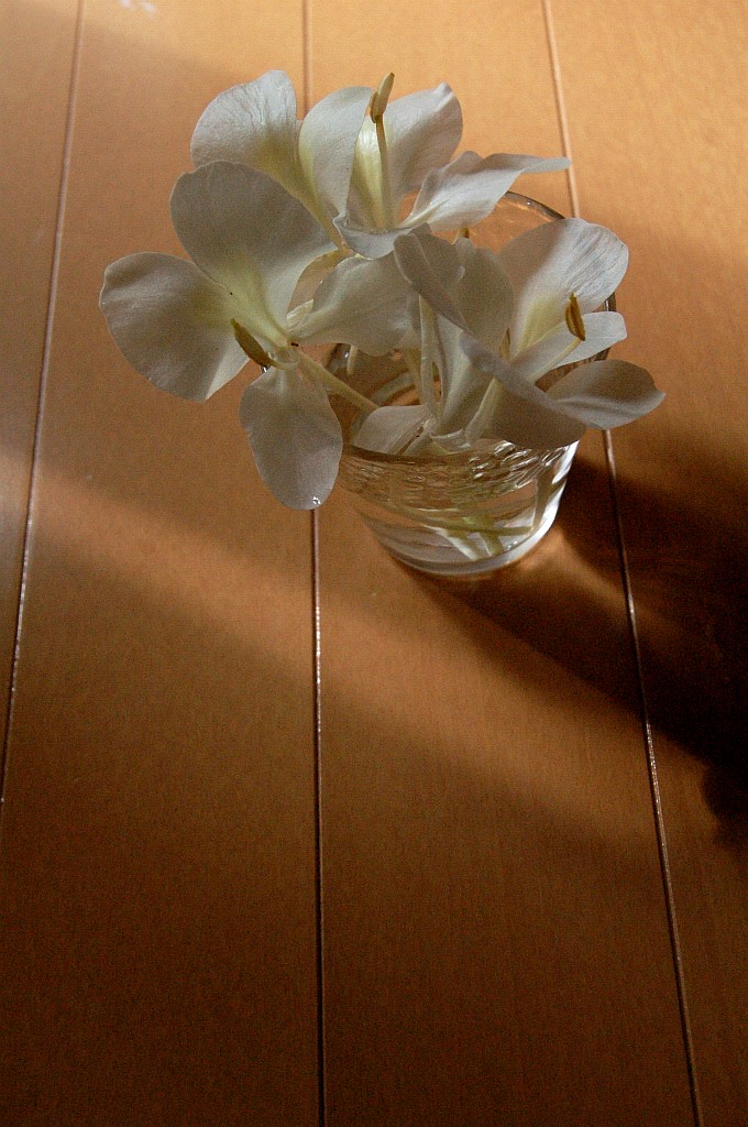 e0107030_0124467.jpg