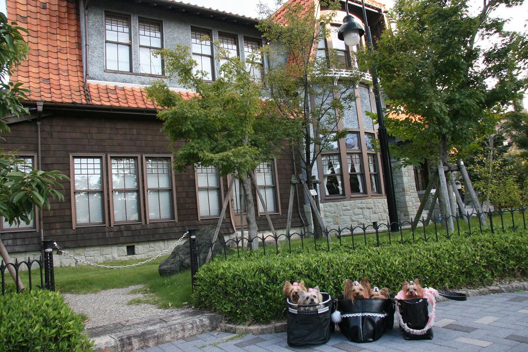 f0124830_1164528.jpg